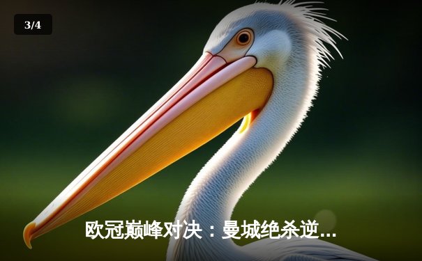 欧冠巅峰对决：曼城绝杀逆转拜仁，哈兰德双响锁定胜局 - 3