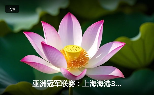 亚洲冠军联赛：上海海港3-1逆转全北现代，武磊传射建功 - 2